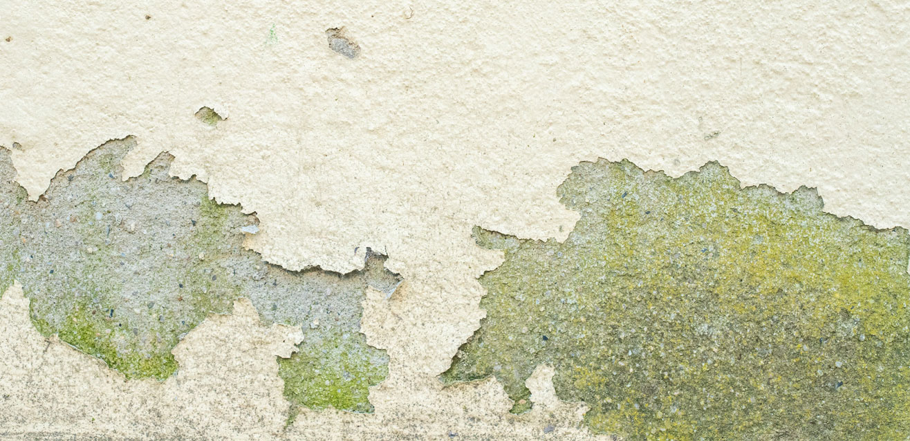 Close-up of a peeling white wall, revealing layers of deteriorating paint and exposing a hazardous background, highlighting potential lead paint risks.